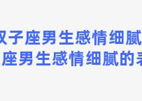 双子座男生感情细腻 双子座男生感情细腻的表现